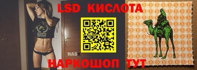 jwh Будённовск