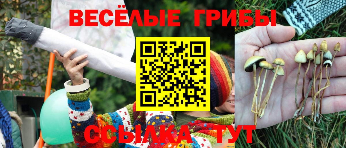 Псилоцибиновые грибы Psilocybine cubensis Кубинка